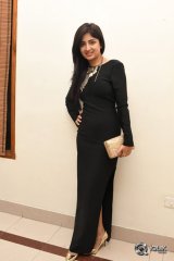 Poonam Kaur At Thikka Movie Audio Launch